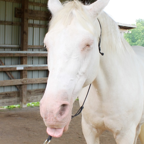 Meet your Posher, Janet - Picture 11 of 14